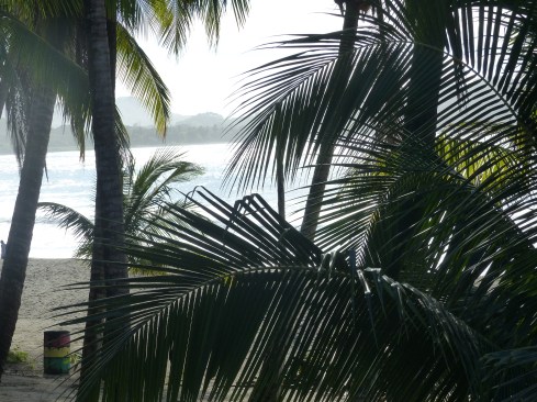 the view from our treehouse