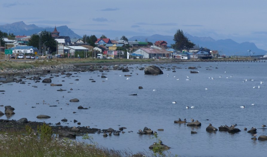 Back in Puerto Natales