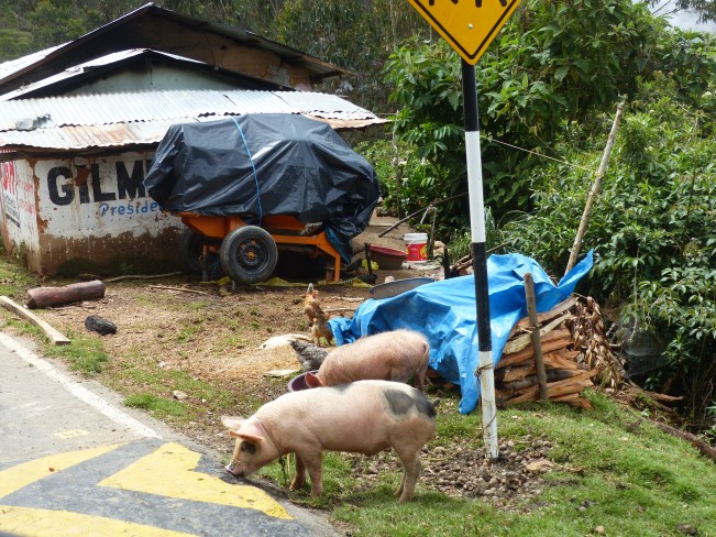 and their livelihood.