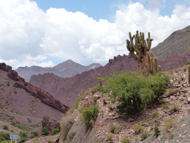 The scenery becomes a little more diversified