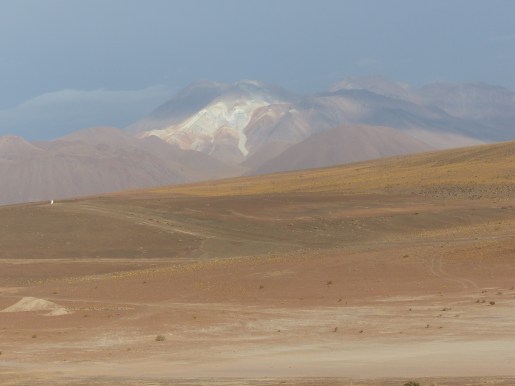 Some vegetation is starting to appear