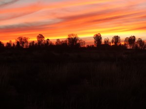 It is worth the ride!