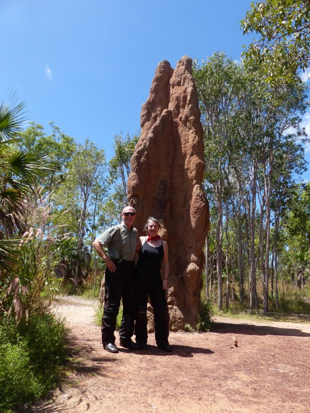 A cathedral mound for the books.