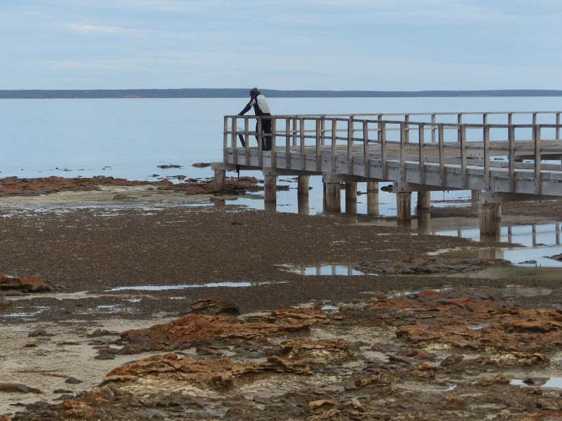 Taking in the view!!!