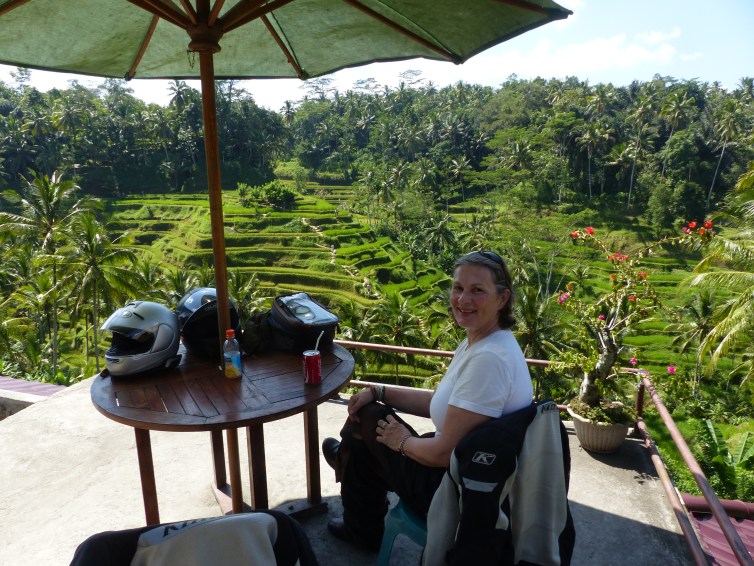 At the rice terraces the next morning.